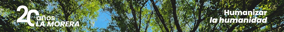[banner image]